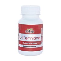 L-carnitina 600 mg 90 cápsulas
