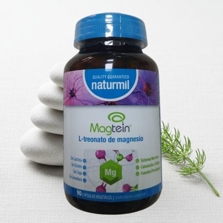 Magtein L-treonato de magnesio 90 cápsulas