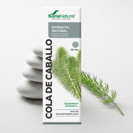 Cola de caballo extracto Soria natural