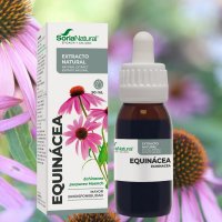 Equinácea Extracto 50 ml