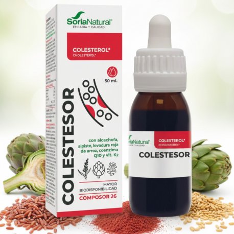 Composor 26