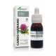 Cardo Mariano extracto 50 ml
