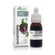 Alcachofa extracto 50 ml