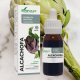 Alcachofa extracto 50 ml