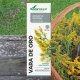 Vara de oro extracto 50 ml