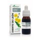 Diente de león extracto 50 ml