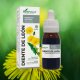 Diente de león extracto 50 ml