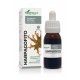 Harpagofito extracto 50ml
