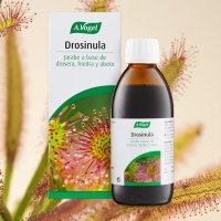 Drosinula jarabe 200 ml