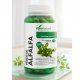 Alfalfa verde de soria