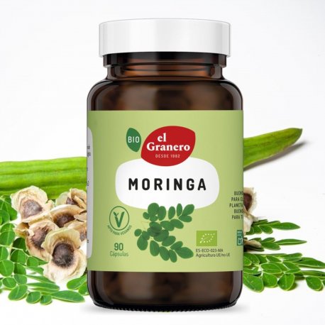 Moringa capsulas