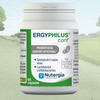ergyphilus cnfort 