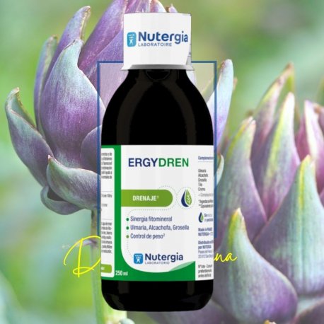 Ergydren