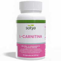L-carnitina 600 mg 90 cápsulas