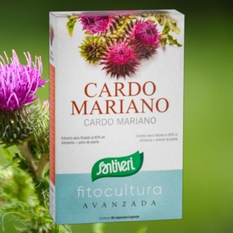 Cardo mariano 40 cápsulas