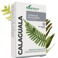 Calaguala