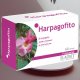 Harpagofito 60 comprimidos
