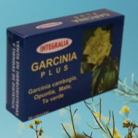 Garcinia Plus 60 cápsulas