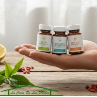 Planes y fórmulas integrales