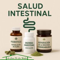 Salud intestinal