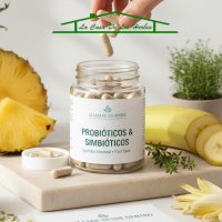 Probióticos, prebióticos, simbióticos