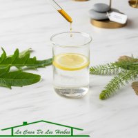 Depuración y soporte hepático-renal