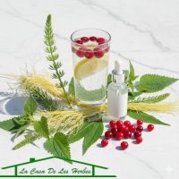 Bienestar renal y vías urinarias