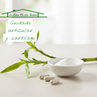 Cuidado articular y cartílago