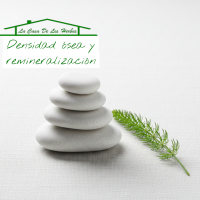 Densidad ósea y remineralización