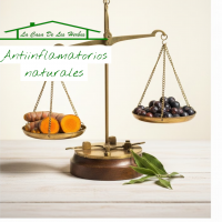 Antiinflamatorios naturales,