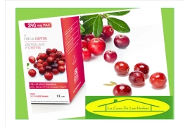 Cistitis, remedios naturales y eficaces.