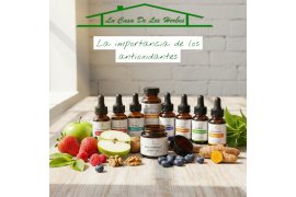 La Importancia de los antioxidantes: guía maestra para una salud celular optimizada.