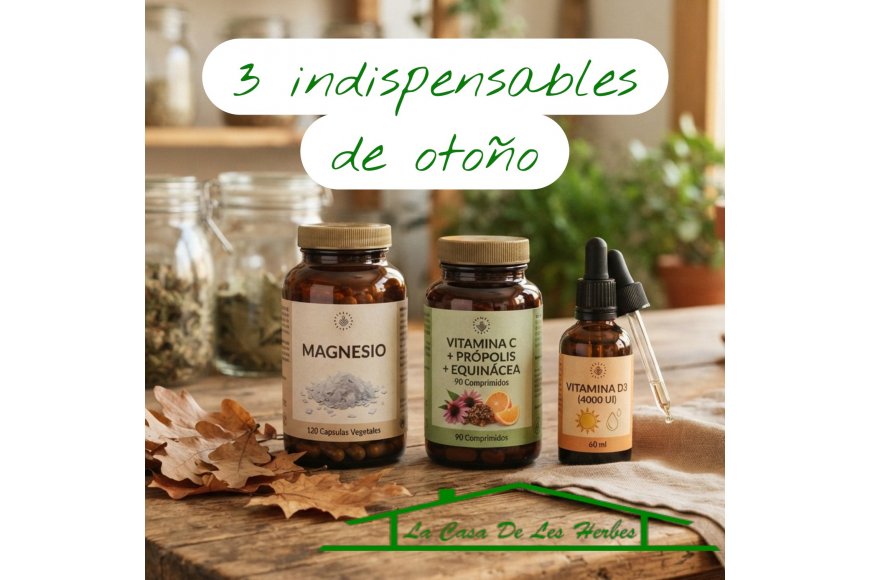 3 Suplementos Indispensables para comenzar el otoño con energía