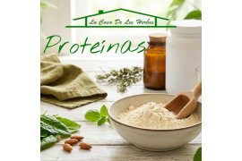 Más allá del músculo: La proteína como arquitectura de tu equilibrio hormonal y vital.